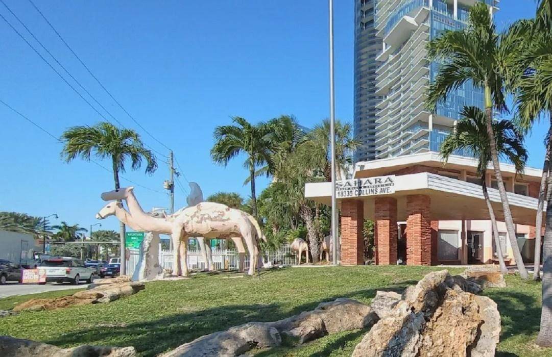 Sunny Isles Beach Hotel | 19 m² Hotel ∙ 4 guests