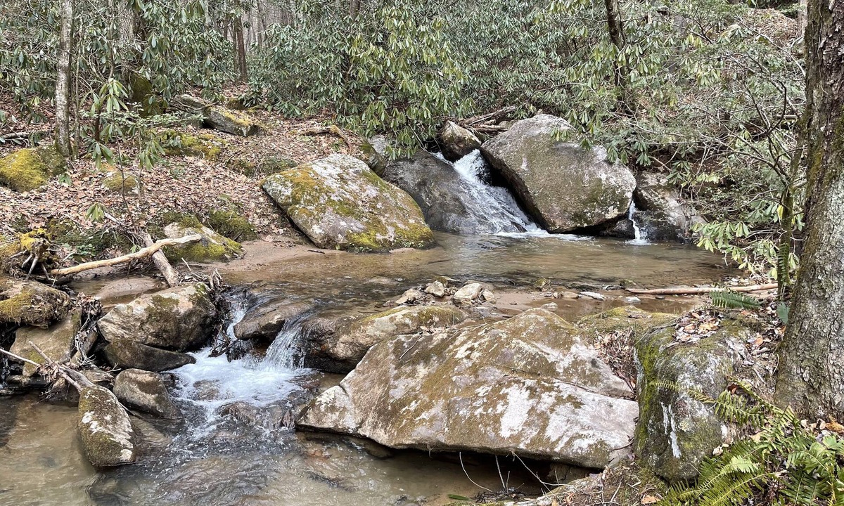 Purlear House | 2 BR 2 BA house on Buck Mountain with mountain views!