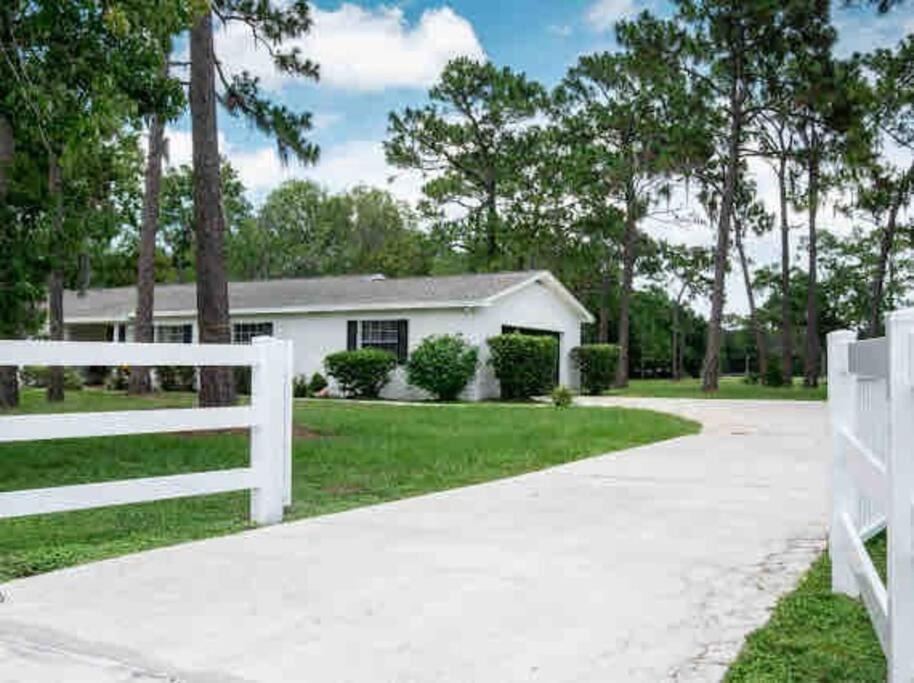 Greater Northdale House | 3bdr2bath home in Lutz close to Tampa, 20 min to Stadium, Airport
