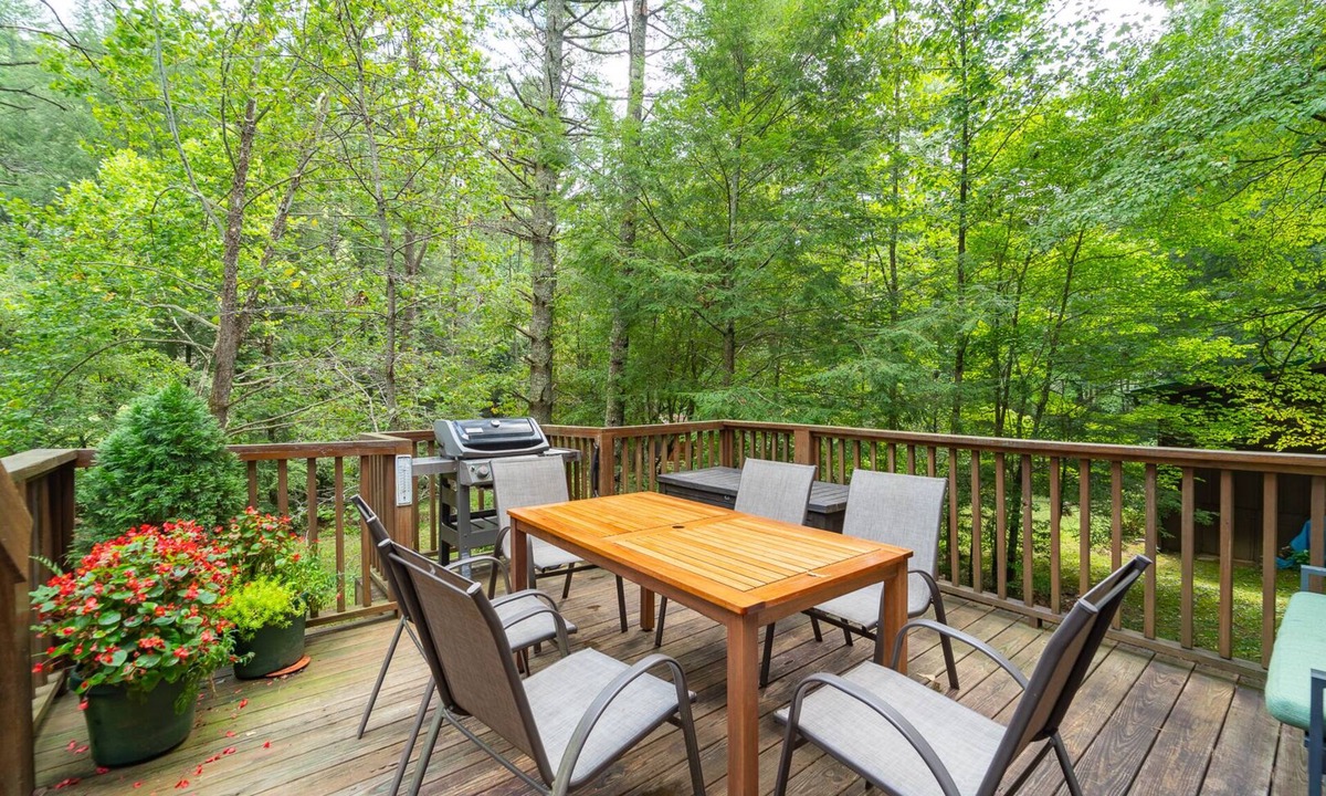 Suches Cabin | 3BR cottage on the Toccoa River; fish from the yard, stargaze at the firepit!