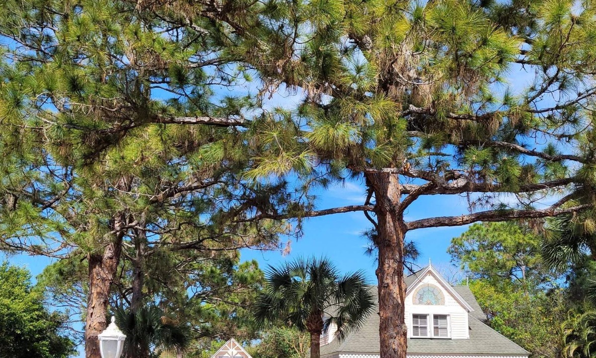 Vero Beach House | 5 ⭐️ Charming 2-Story Carriage House🏡Near Beach! $150 Night!🏝