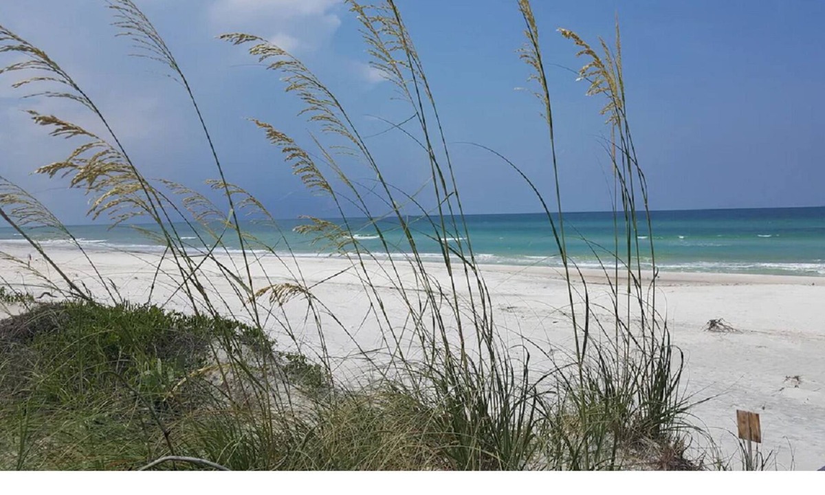 Gulf County RV Rental | 5 miles from the beautiful GULF OF MEXICO! Secluded, private, family campsite!