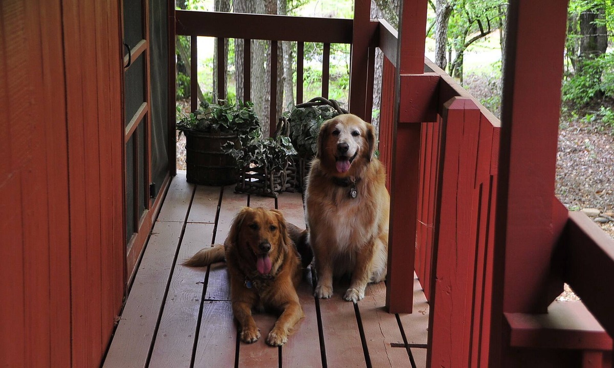 Murphy Cabin | A CABIN ON PARADISE Tranquil cabin in Murphy - just 1 mile from JCC Folkschool