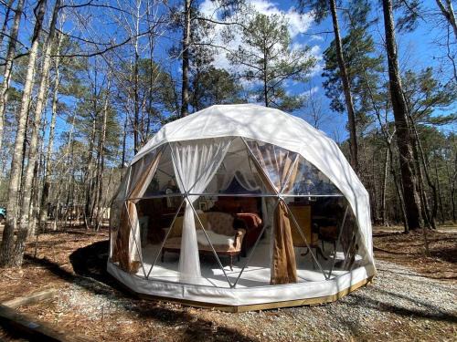 Lake Oconee Other | Artistic Dome Haven Nestled in the Woods near Lake Oconee, Georgia