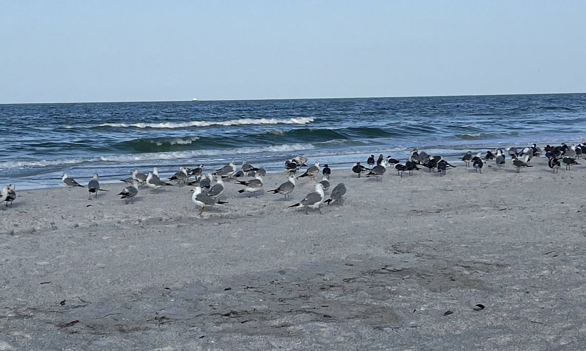Bradenton Beach House | Beautiful 2BD beach house on Anna Maria Island!