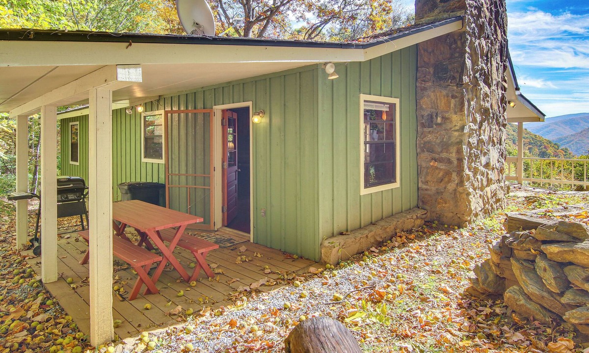 Canton Cabin | Beautiful Cold Mountain Views! Canton Cabin