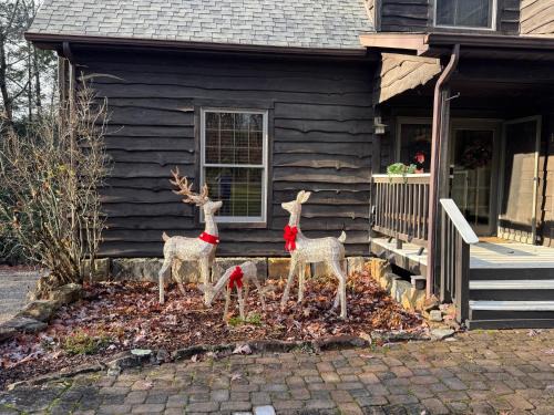 Edmond House | Beauty Mountain Hideaway - Secluded - New River Gorge National Park