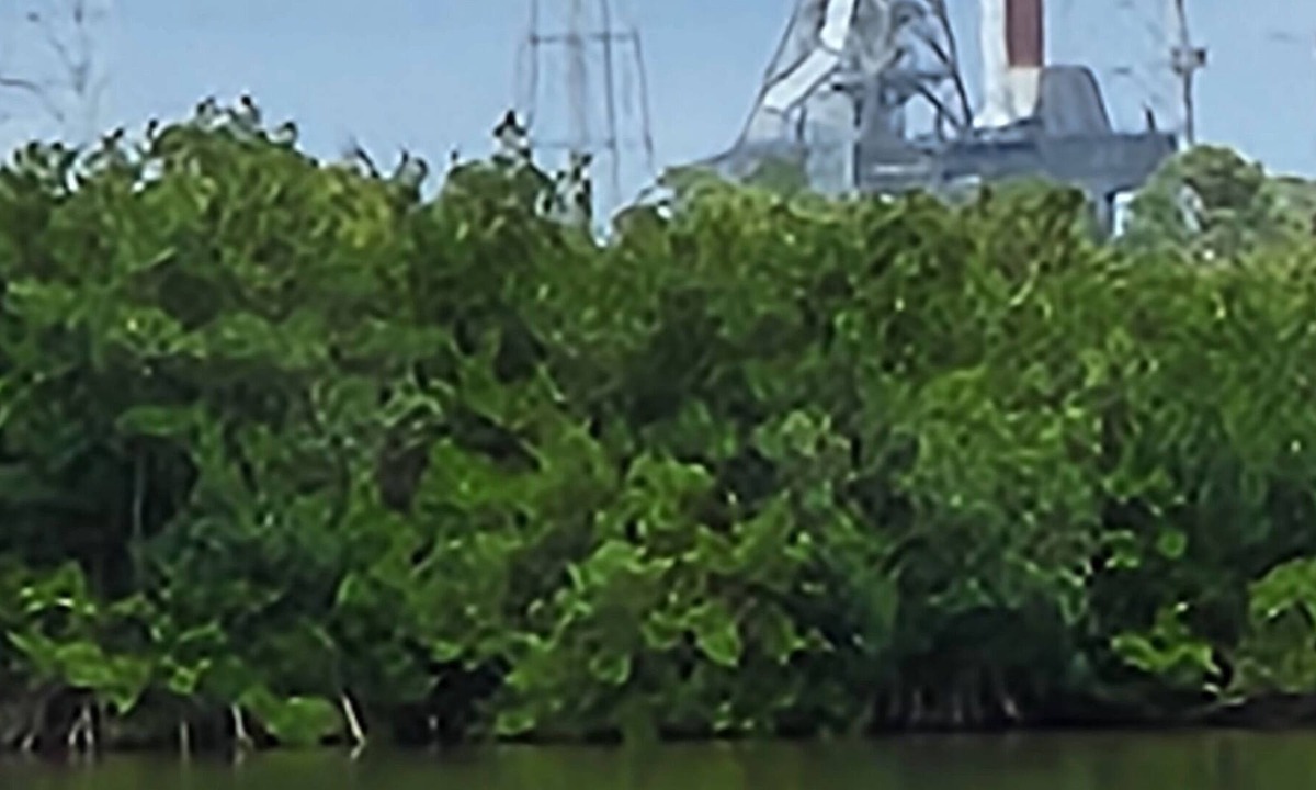 Merritt Island House | Best place for a short term home! Traveling business people welcome