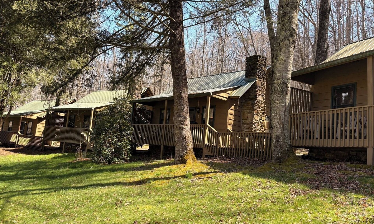 Rabun Gap Cabin | Cabin on a hillside overlooking beautiful Valley Springs Lake pet friendly (dog)