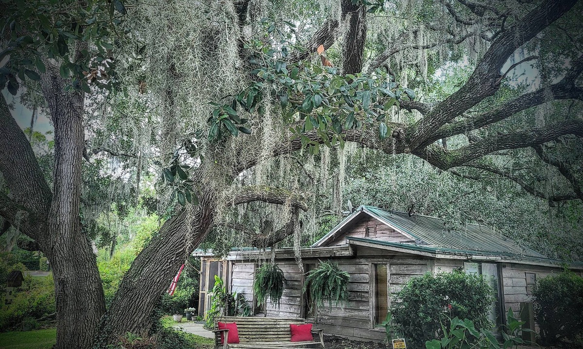 Murrells Inlet Cabin | Charming Unique Cabin: The LiTTLe House in the Inlet!