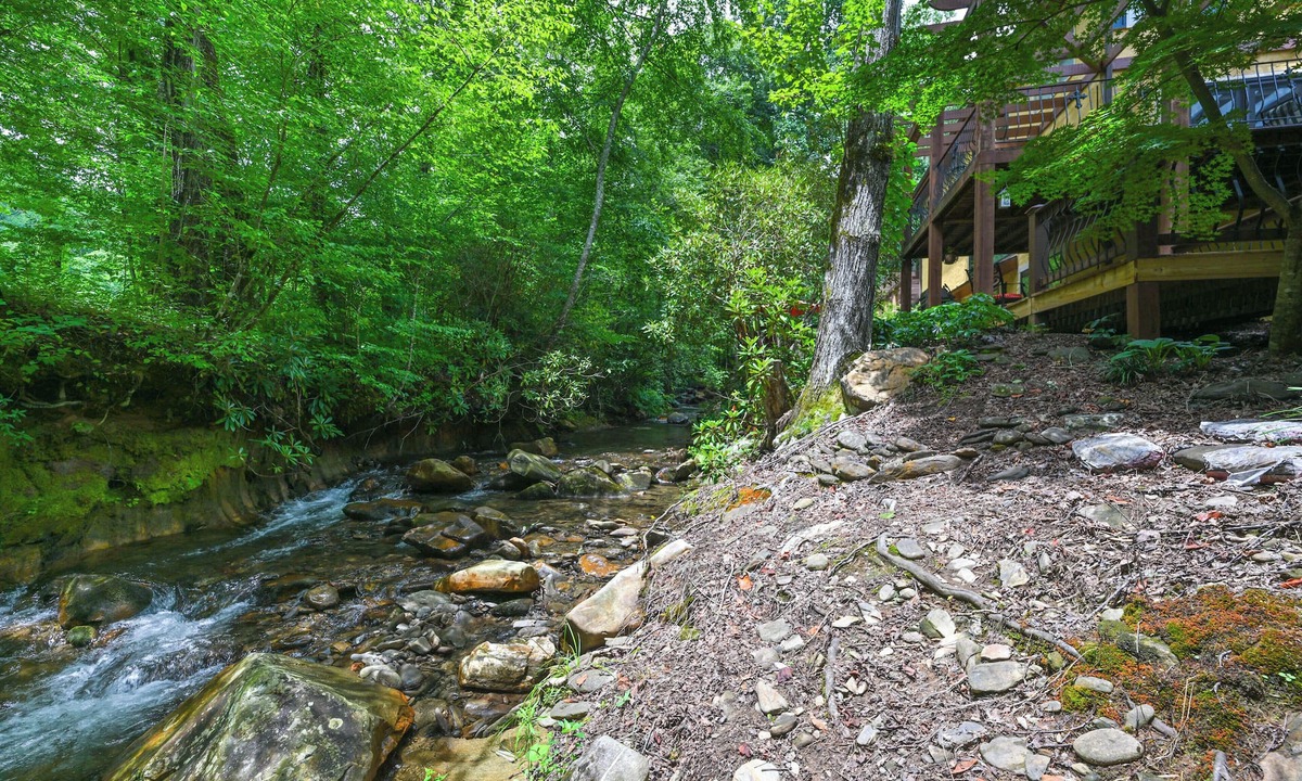 Hayesville Apartment | 'chateau on Compass Creek' Hayesville Apartment!
