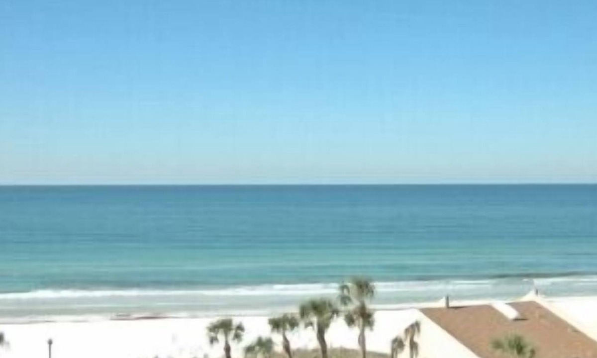 Buttonwood Beach Lounge Umbrella Poo | Siesta Key