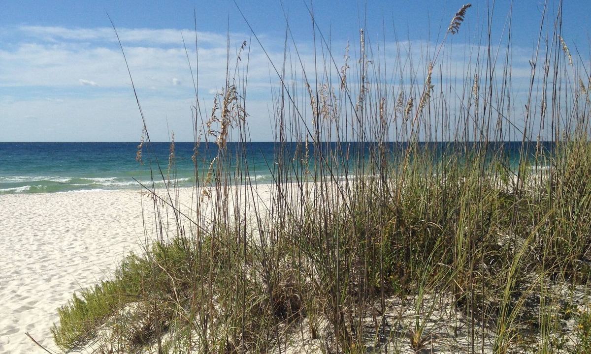 Orange Beach East Condo | Completely remodeled, fall specials, Non-smokers please. No children under 6