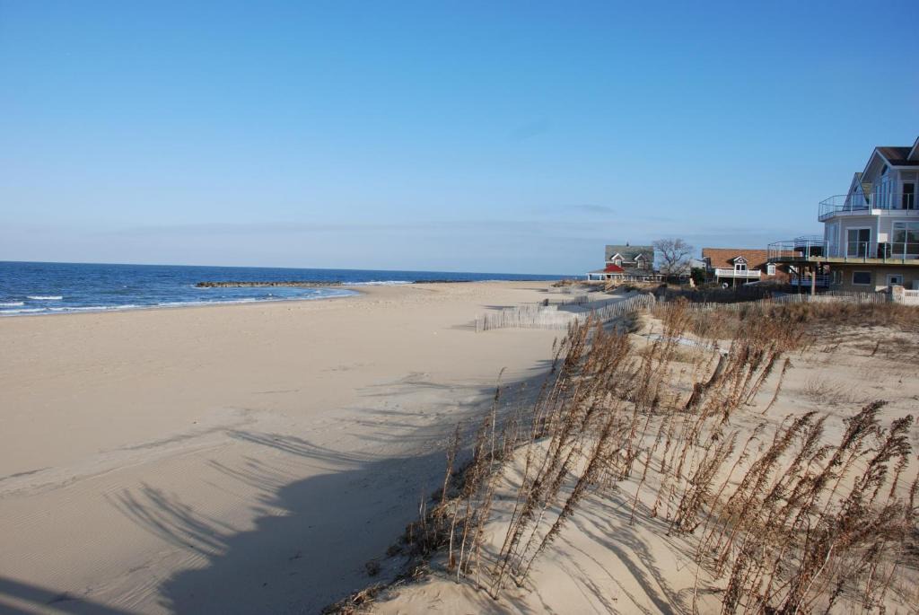 Willoughby Spit Apartment | Cozy Suite - Pet friendly, Beach Side apts