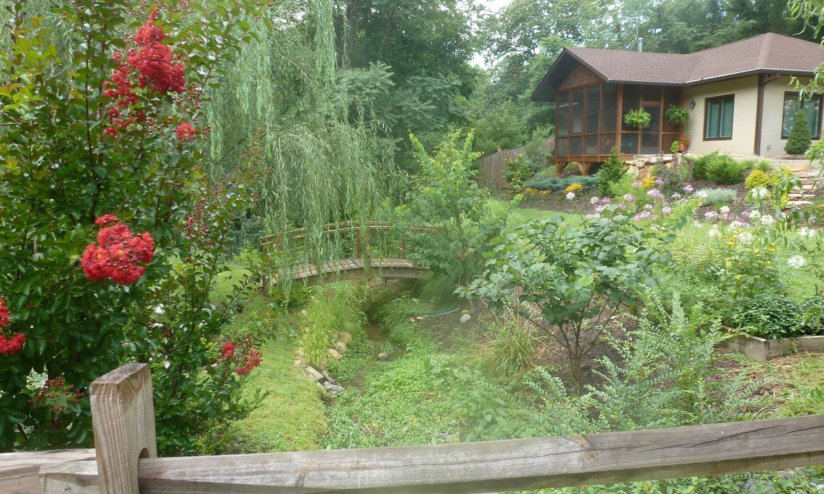 Asheville House | Creekside Cottage! Hiking. Gardens. 5 min to town. Close to shopping/dining.WiFi