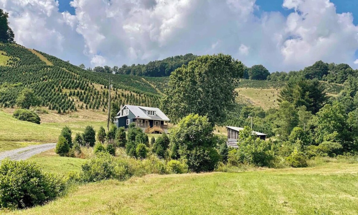 Lansing House | Creekside Retreat on 80 Acres- Hike, Fish & Relax