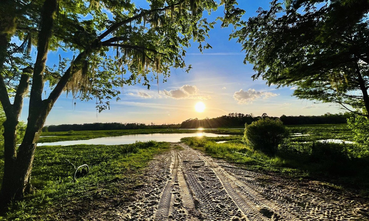 Edgar Cabin | Juanita’s Cabin , a Peaceful cabin in Central Florida. IG:@JUANITASCABIN