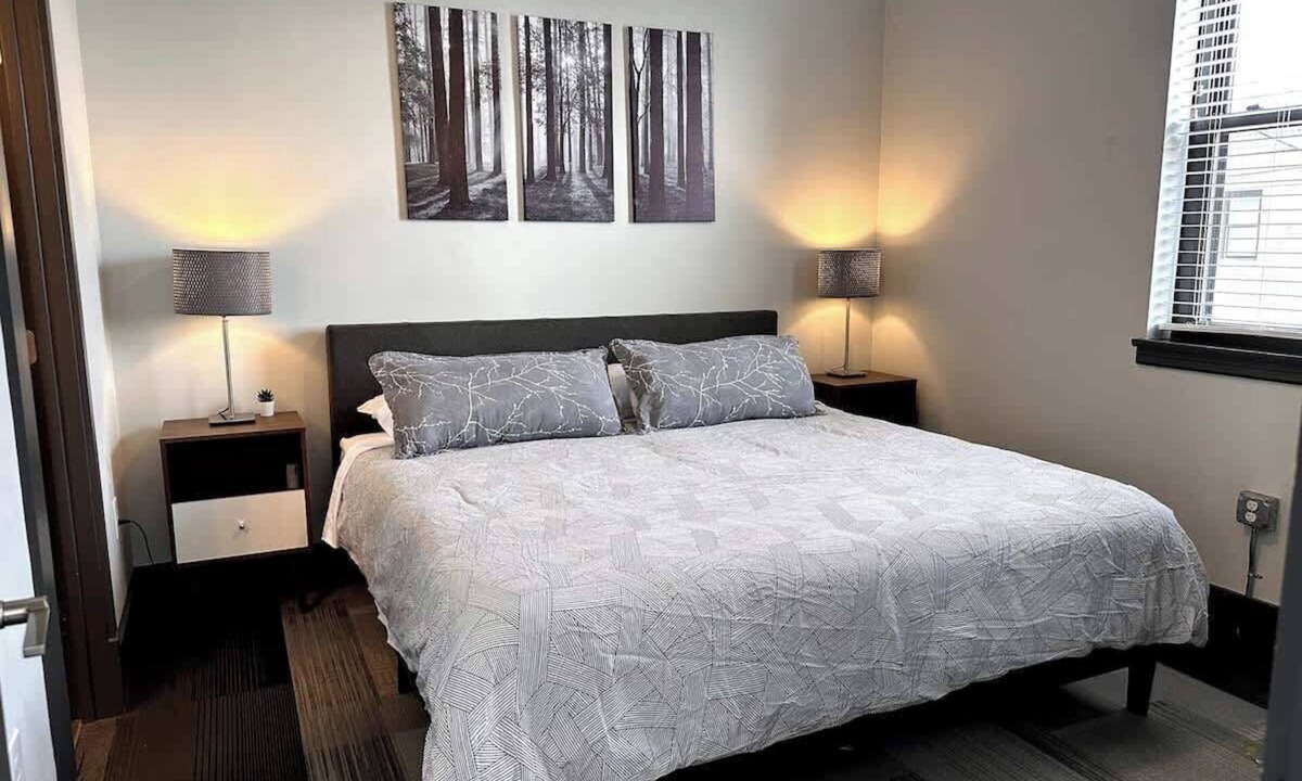 Roanoke Apartment | Luxe downtown loft | arts & ale walkable