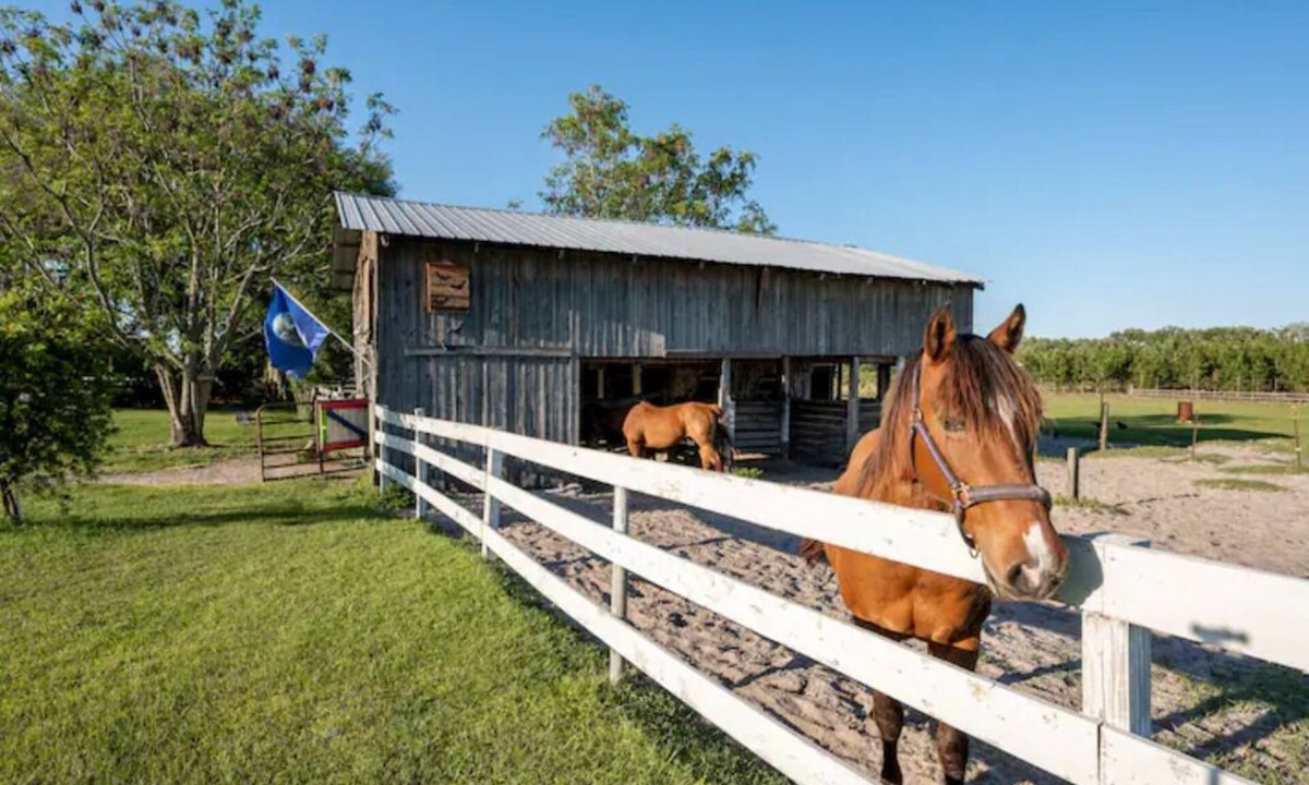 Live Oak House | Luxury and comfort Rv on a farm