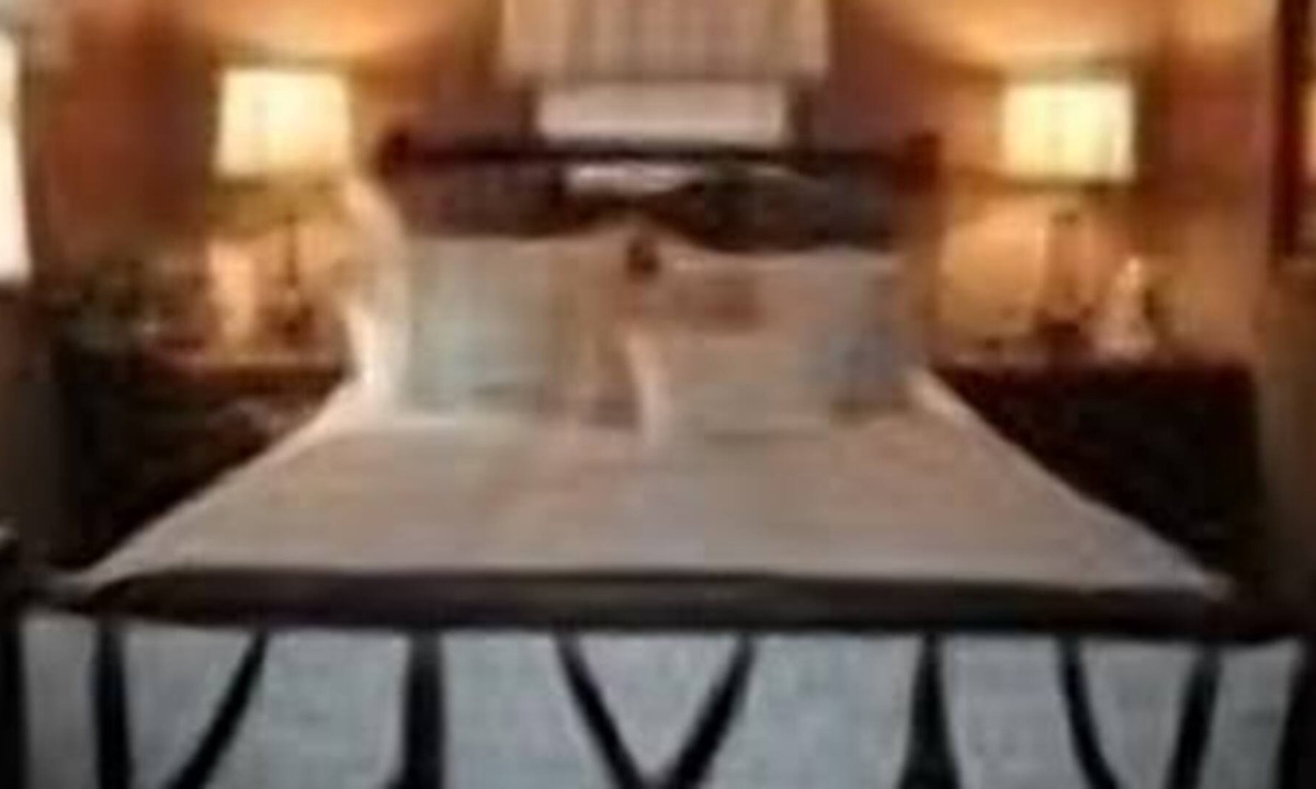 Valley Creek Run Cabin | MOUNTAIN JOY COTTAGES #2 - WOLF
