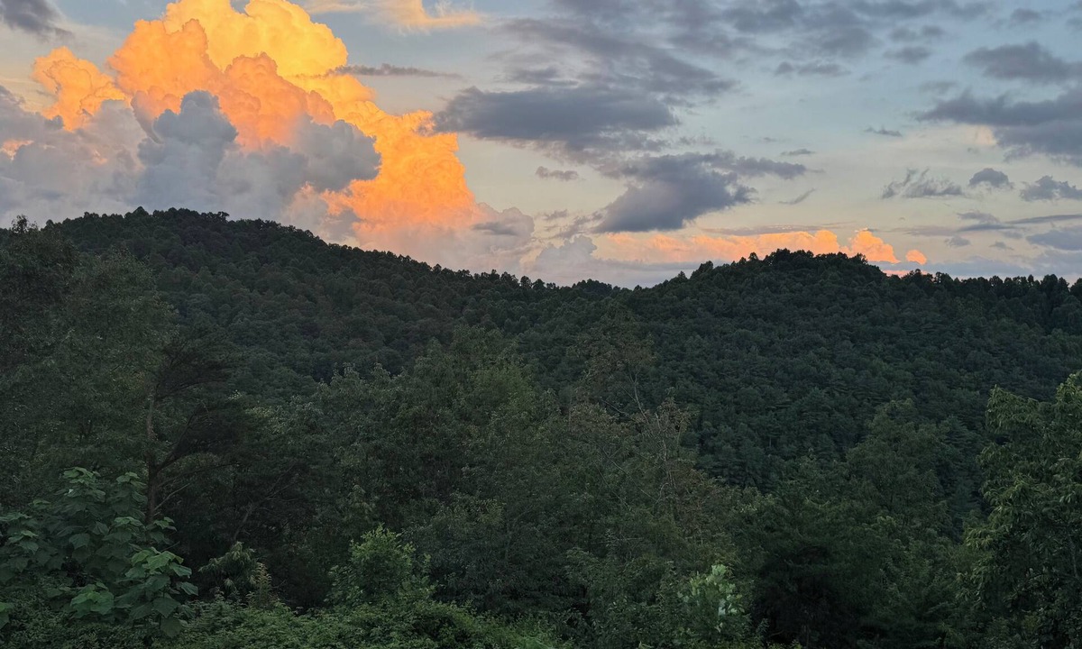 Morganton Cabin | Mtn Views⛰️Pool 💦Dog Friendly🐕 2 King Beds ☕Coffee/Tea Bar