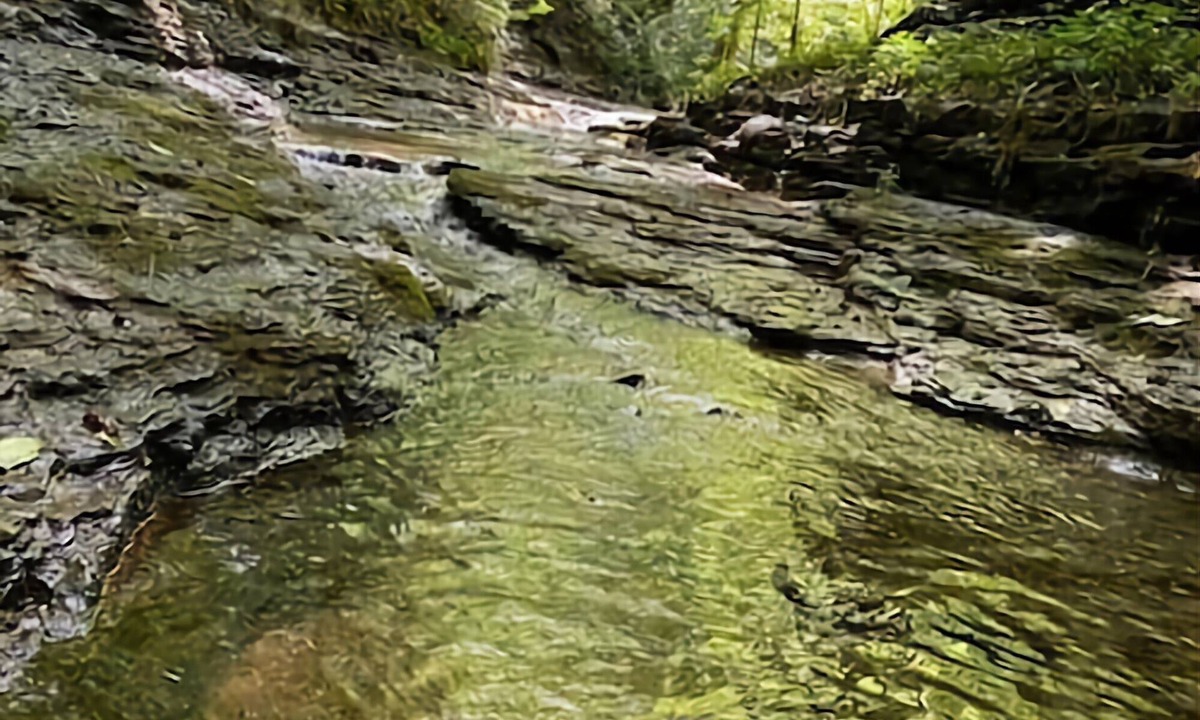 Fairview Cabin | Nature Lovers Paradise- Rustic Cabin on 2 acres with a creek!