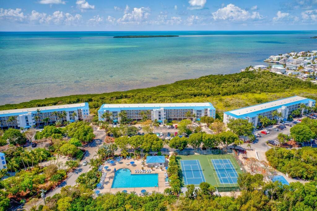 Tavernier Apartment | Oceanfront Paradise Awaits You