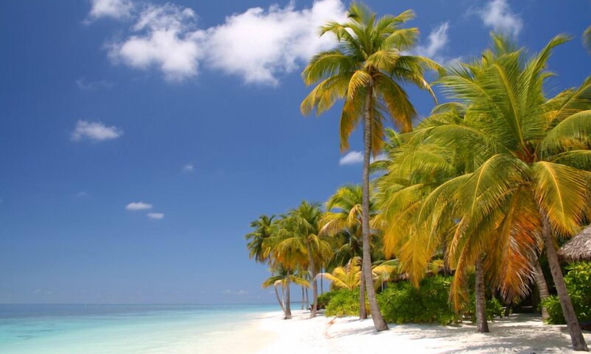 Key Colony Beach Condo | One of the Best Private Beaches in US! Great Location fun activities-Fast Wifi!