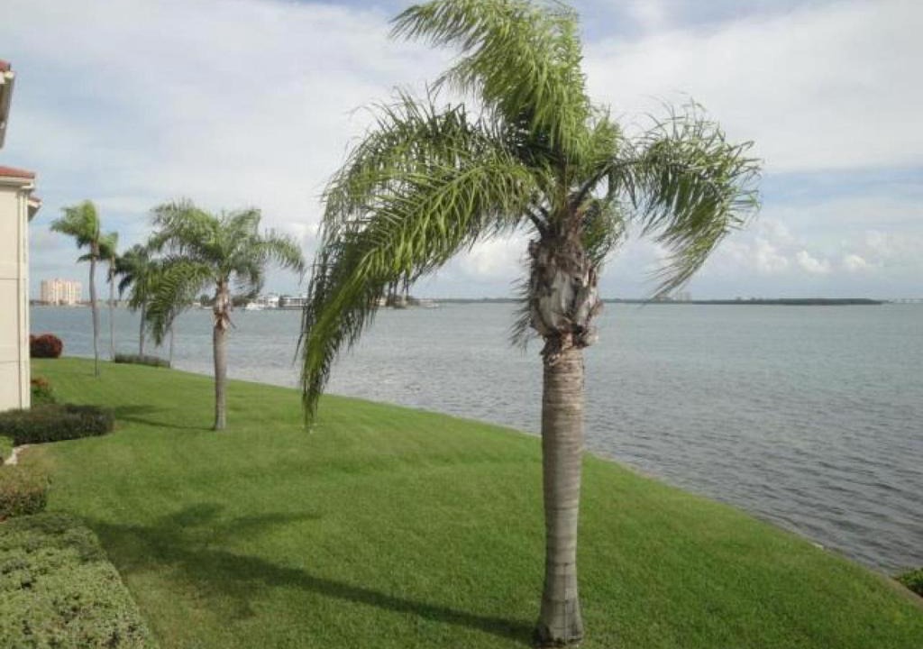 Palma del Mar House | Palma Perfect Florida Getaway