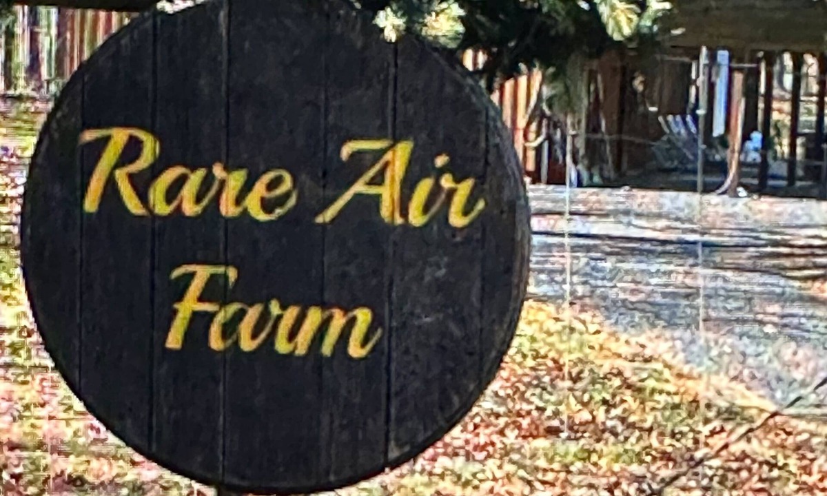 Cedar Mountain Cottage | Perfect and Easy “Get A Way” to Rare Air Farm!