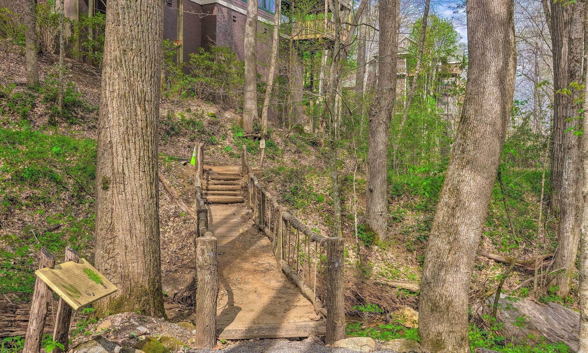 Mountain Air Apartment | Pets Welcome: Quaint Blue Ridge Mountain Getaway!