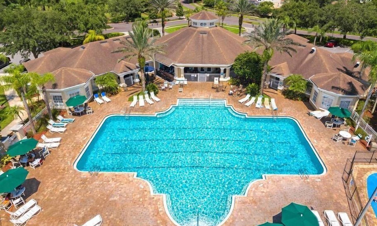 Princess Palm | Windsor Palms