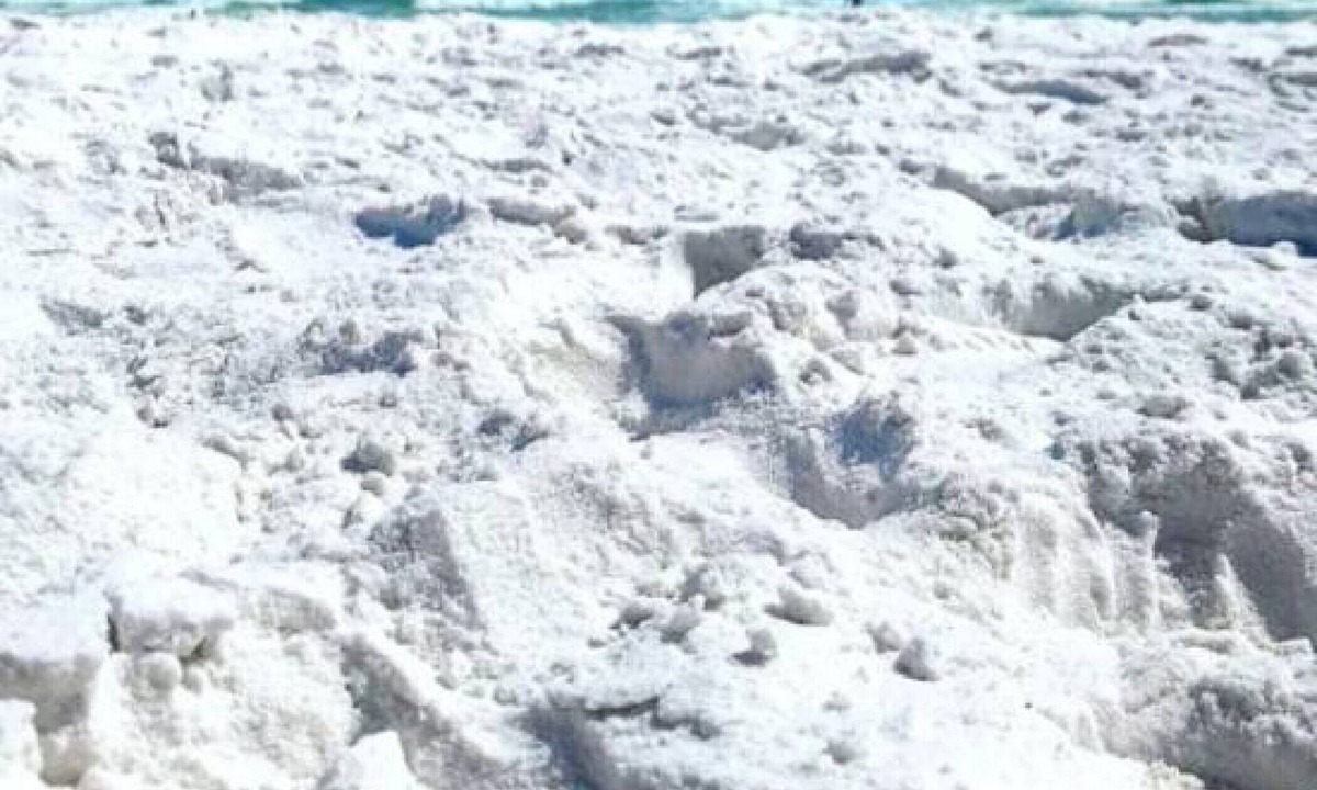 Holiday Isle Condo | Private Beach Access 2 Bedroom Condo in Central Destin