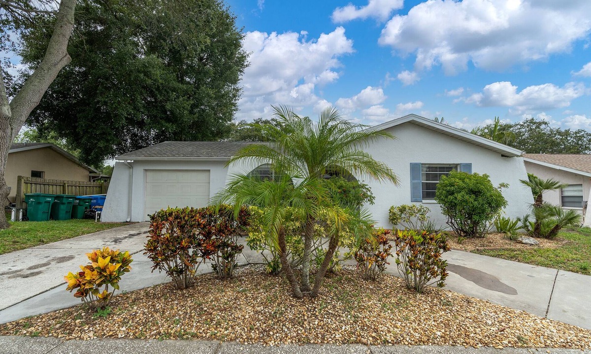 Palm Harbor House | Renovated Centrally located w/Free Onsite Parking