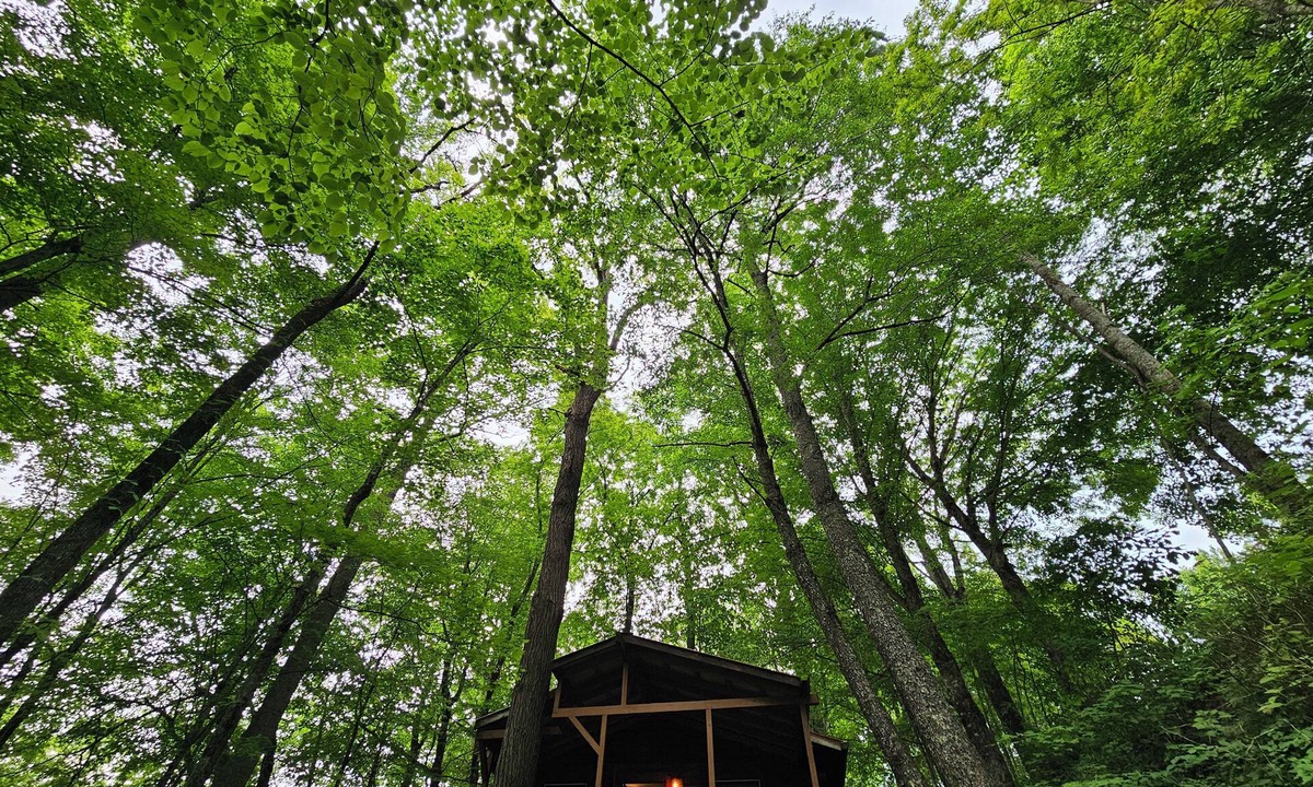 Mars Hill Cabin | Romantic Summer Couples Escape: Private Hot Tub + EV Charger + 600Mbps WiFi
