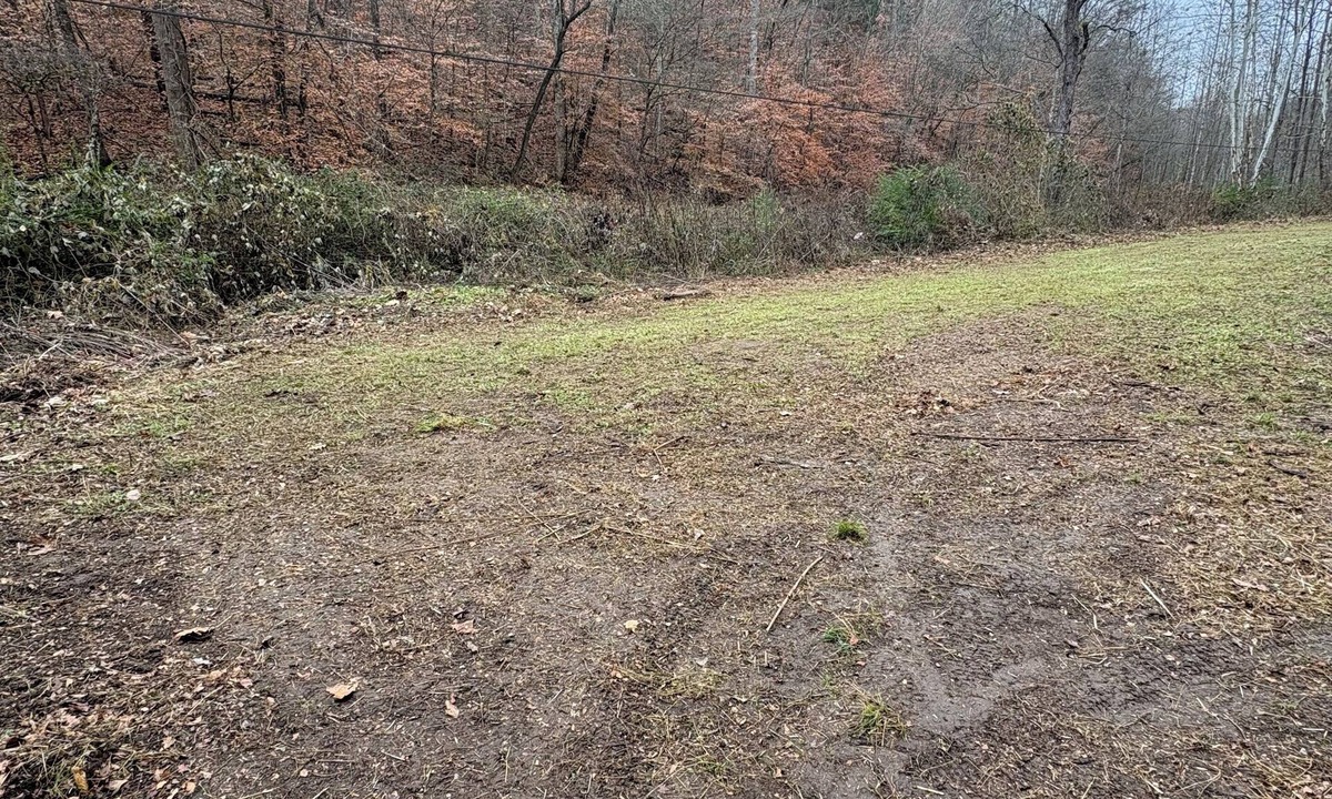 Speedwell RV Rental | RV/Camper Sites. No Electric