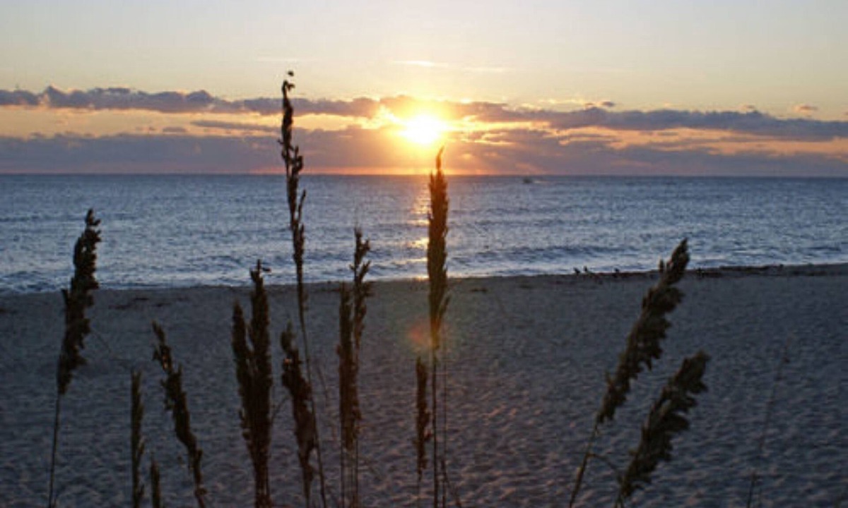 Parrot Cove Bed & Breakfast | Sabal Palm House Bed & Breakfast