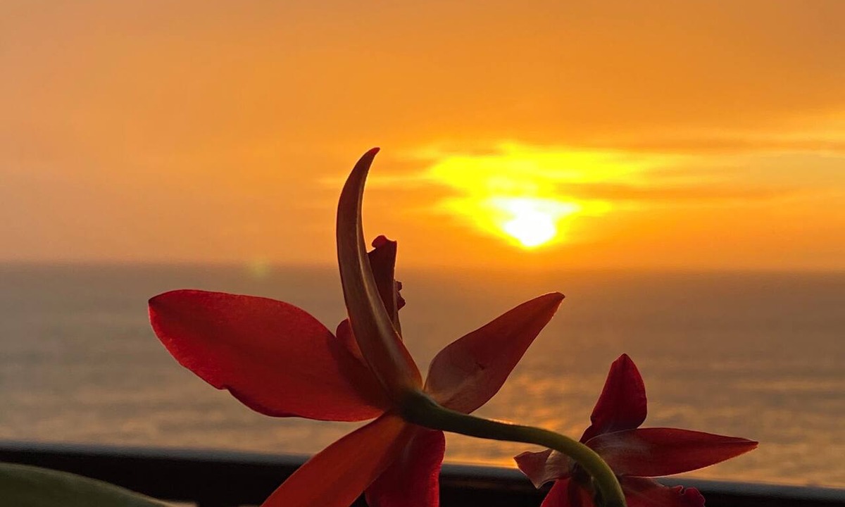 Marco Island Condo | SEA WINDS 1201 Beach Front Getaway with spectacular views of the Gulf!