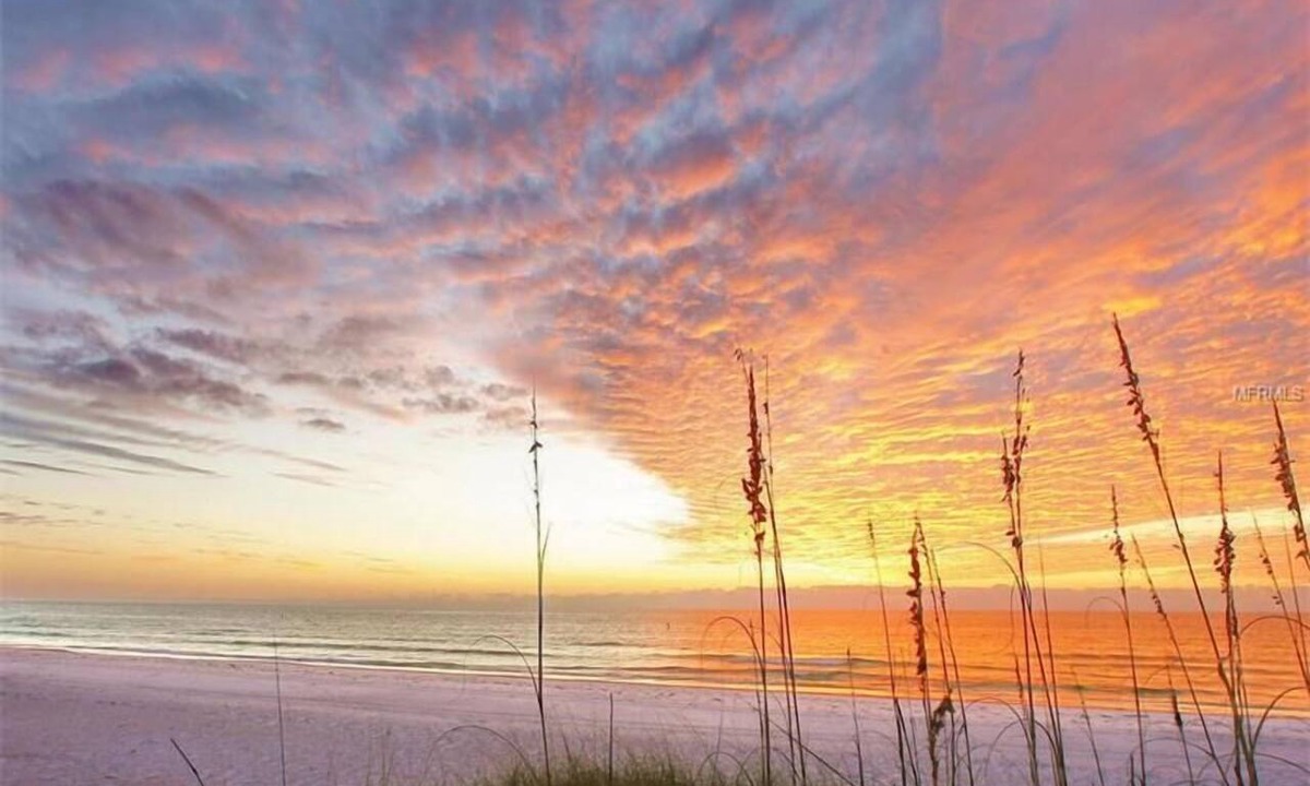 Siesta Key Cottage | Siesta Heron 6/Sunset