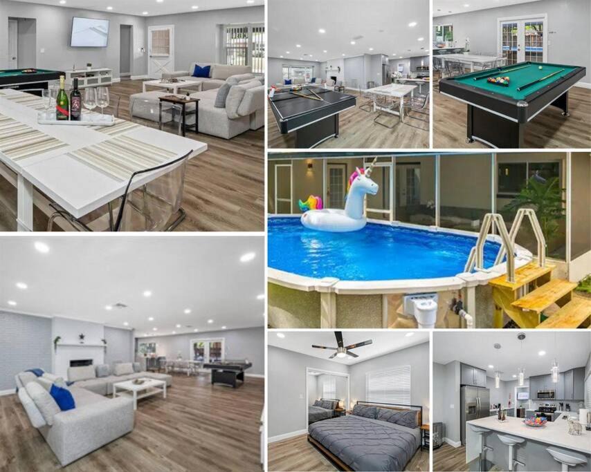 Lake Magdalene House | Spacious, Modern and Fully Updated Gorgeous Home