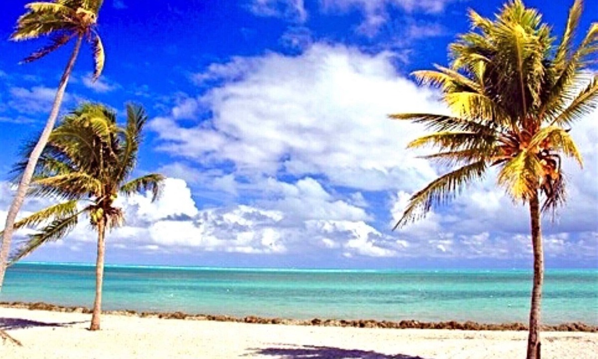 Key Biscayne Apartment | Spacious Two Bedroom with Pool close to the Beach -