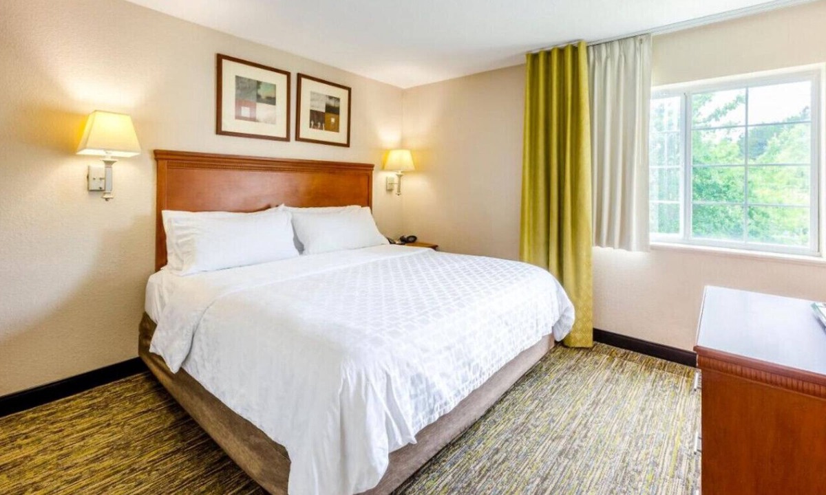 Eden House | Stay in Style and Comfort w/ a Contemporary Vibe