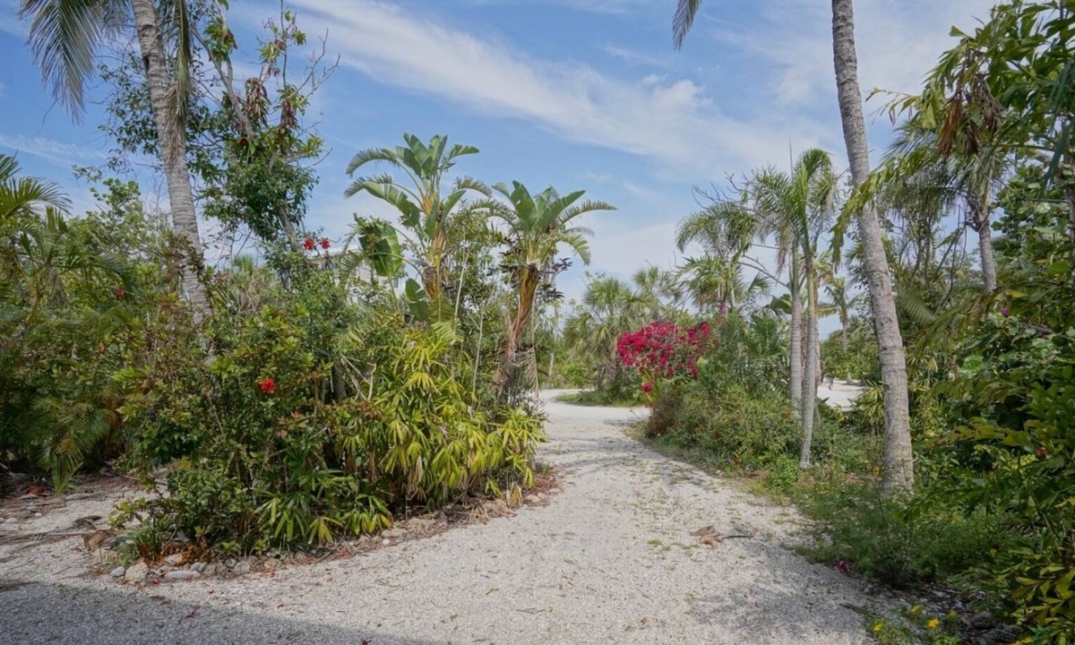 Cape Haze House | The Island Oasis.