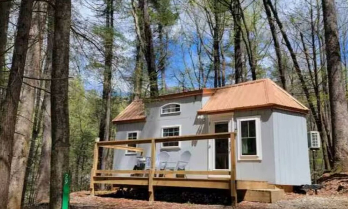 Suches Cottage | The Rabbit Hole-Trillium Tiny Home with Hottub - Pet Friendly