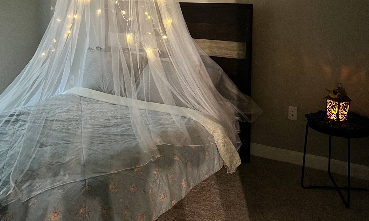 Westside Apartment | tranquil rainforest themed stay 10 minutes from downtown