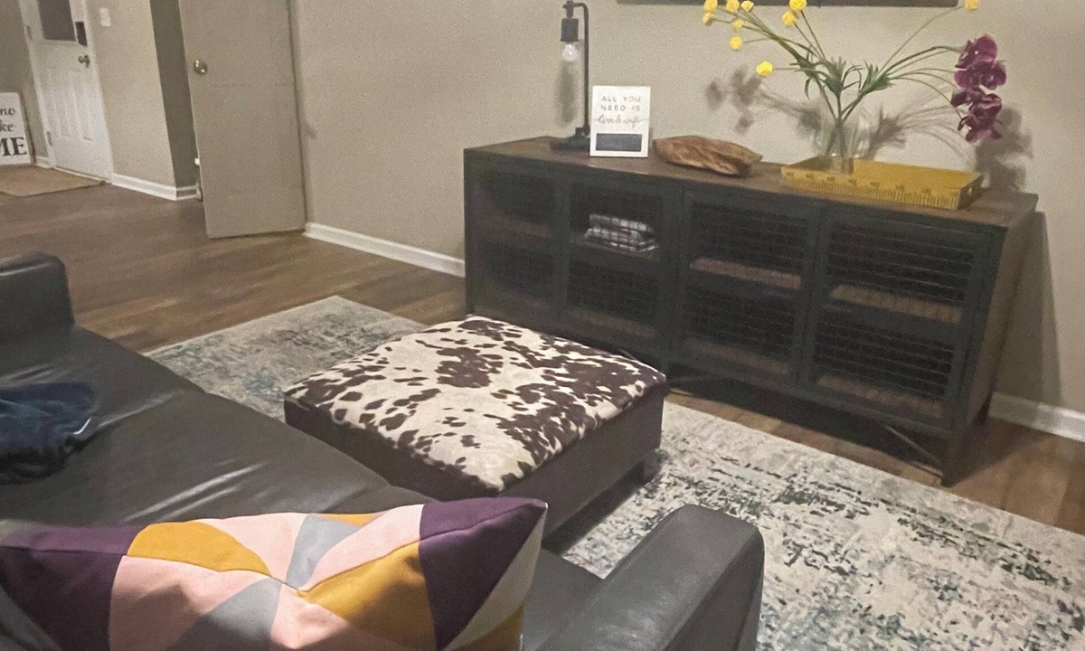 Powder Springs Apartment | Welcome to the Posh MAJOR INTERNATIONAL SPORTING EVENT Suite!