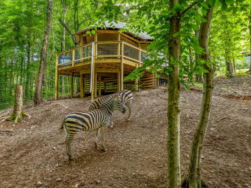 Troutman Other | Zootastic Retreat Private Hot Tub Zoo Access