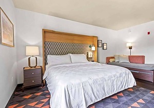 3-Star Hotel ∙ Holiday Inn - St. Petersburg West, an IHG Hotel