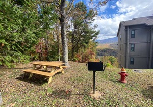 511DRA204DRNCO - Deer Ridge Mountain Resort A204
