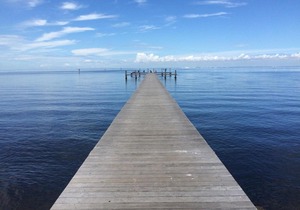 Beach Happy Getaway!! 2 BEDS, 1 BA W Parking